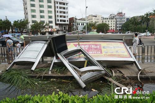 强台风"威马逊"过境 海口市区满目疮痍(高清组图)