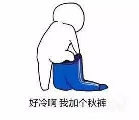 快来~有它们陪你,这个秋天不再冷!
