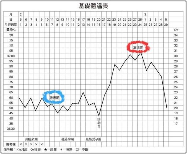 从月经来潮直到排卵期之前,基础体温会大概落在36.0°c~36.