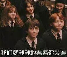 哈利波特 表情包