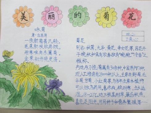 儿童古诗以菊花为主题的手抄报 爱为主题的手抄报
