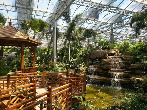 江西 生态温室 生态餐厅 温室大棚建造 山东厂家定制 泉瑞直销