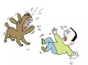 宝宝被小动物咬伤了怎么办?这里有科学急救方法