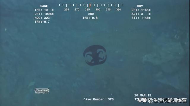 黑软颌鱼(stoplight loosejaw),中文直译"掉了下巴的红绿灯",因其