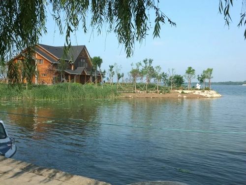 衡水湖,我来了.