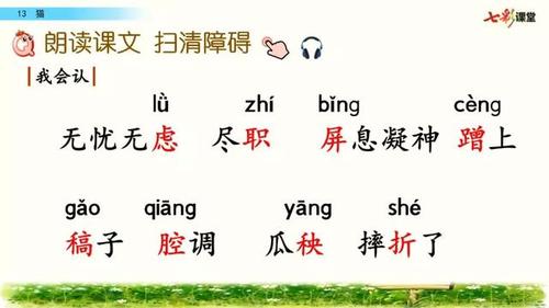 四年级语文下册第13课《猫》图文讲解,知识点归纳