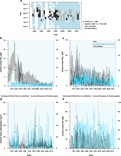 phosphorus cycling and burial in sediments of a seasonally
