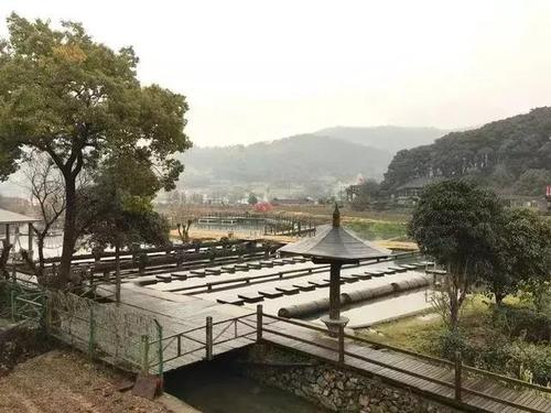 赏美丽田园风光展茅干施岙村上演世外桃源好戏