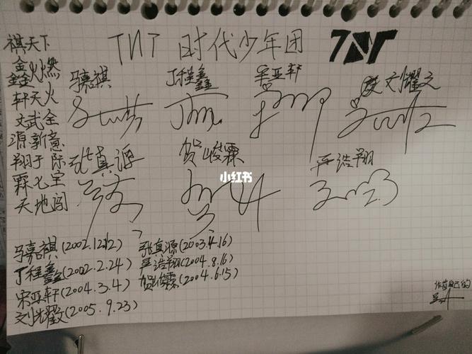 tnt签名(不像忽喷)