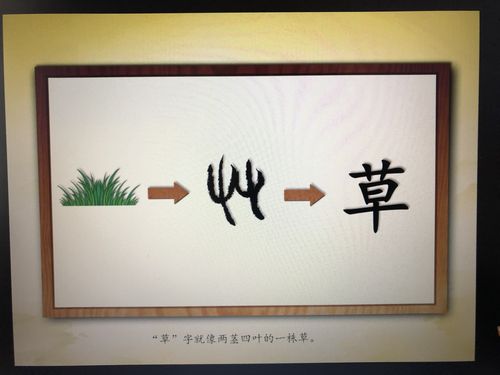 我们来看看"草"字的演变过程