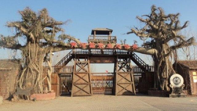 3分 (6条点评) 5 郑州黄河富景生态园利用景区内丰富的土地资源,辟建