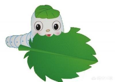 春天来了,为什麼很多城里人去农村采桑叶吃?好处多多