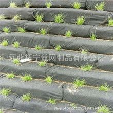 绿化护坡防护袋 园林景观生态棒 河道治理加固护坡生态袋价格