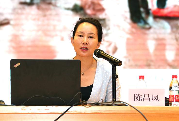 清华大学新闻与传播学院副院长陈昌凤教授作专题报告