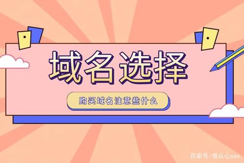 seoer域名购买你是如何选择的呢?
