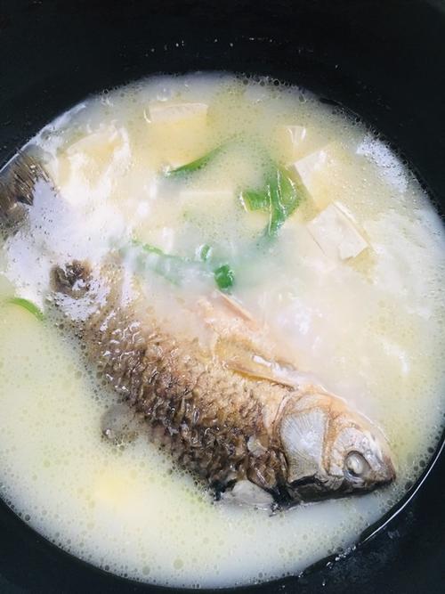 贝儿jane做的奶白鲫鱼汤