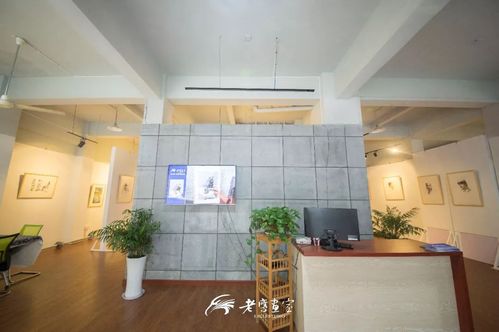 2019届老鹰画室预报名招生通道开通啦