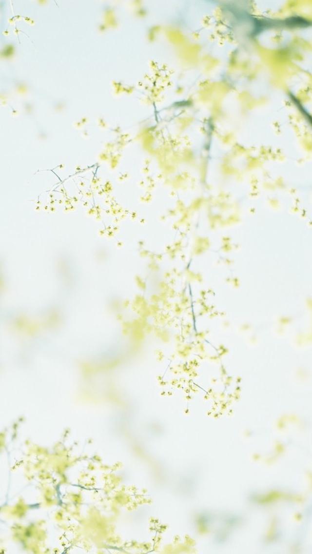 夏日专属小清新风景图片iphone5壁纸2下载