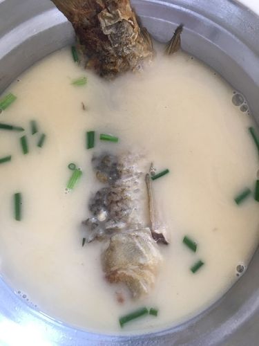 家常菜 豆腐鲫鱼汤 手机用户5891_hugr做的豆腐鲫鱼汤  手机用户5891