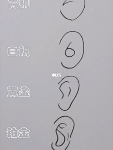如果画耳朵有段位,你是哪一种呢?_绘画_知识_艺术