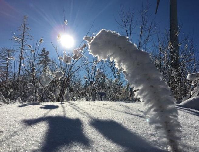美丽的小兴安岭,冬季我们一起去看雪