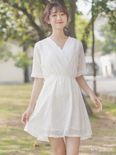 大家有这种类型的裙子推荐吗