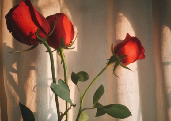 2021伤感说说最新版,2021伤感说说大全