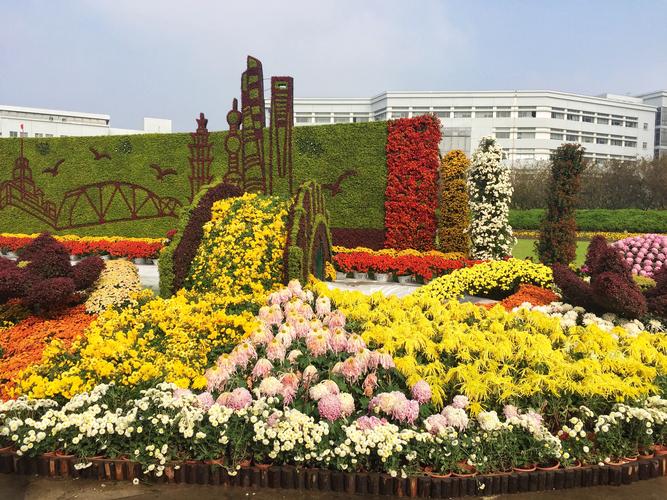 上海大学菊文化节