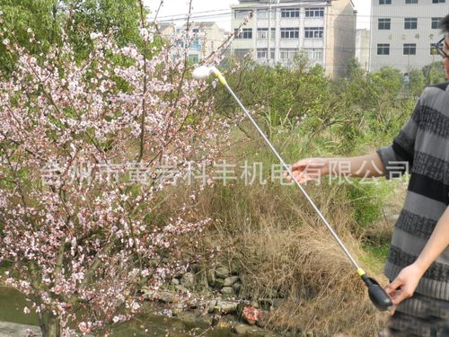 手动瓜果授粉器_供应产品_台州市黄岩科丰机电有限公司