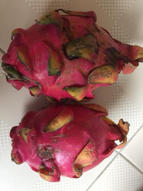 我们为您提供火龙果 进口的优质评价,包括火龙果 进口商品评价,晒单