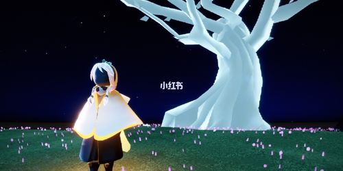 麻花辫_光遇_发带_游戏