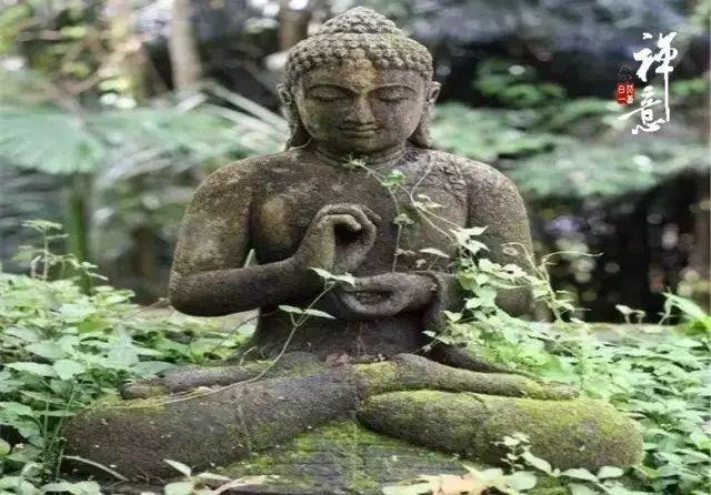 星云大师把绊脚石变成垫脚石