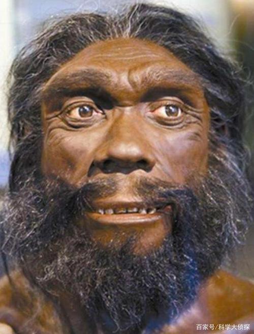 从猴子演变成人,这五百年的历史非常奇妙!