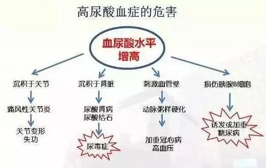 高尿酸血症的饮食建议,这9点你需要知道!