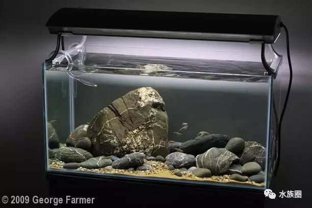 卵石原生态鱼缸开缸过程
