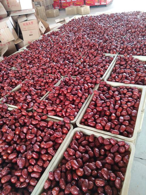 和田大枣 特级 新疆骏枣 产地批发商