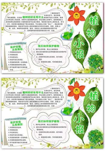 生物绿色植物手抄报 生物手抄报