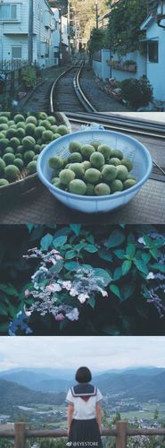 夏天的画面,生活的细节, 海街日记>写真集,摄影:泷本干也