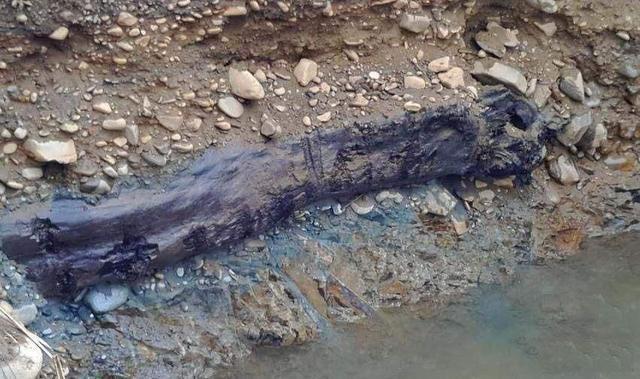 百科 名词 木材种类 阴沉木 在地下埋了几百年的柏木棺材,为什么成不