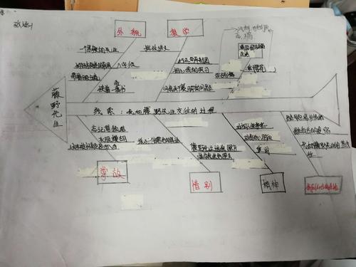 《藤野先生》鱼骨图作业