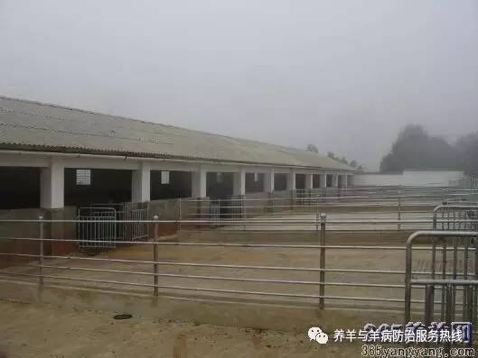 【羊场建设图片】羊场建设图片大全,养羊场根据自己饲养的标准,合理的