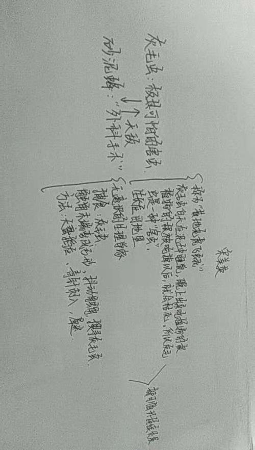 砂泥蜂,灰毛虫的思维导图