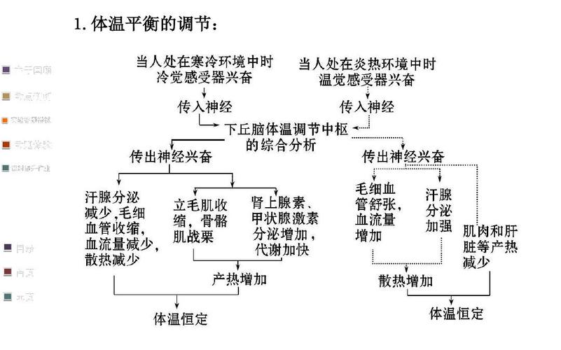 2016体温调节与水盐平衡调节ppt