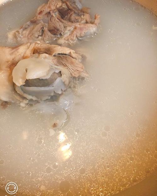 本宫微胖懒得取名做的奶白骨头汤