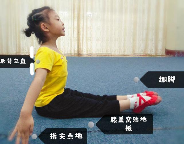 基本体态—绷脚伸坐