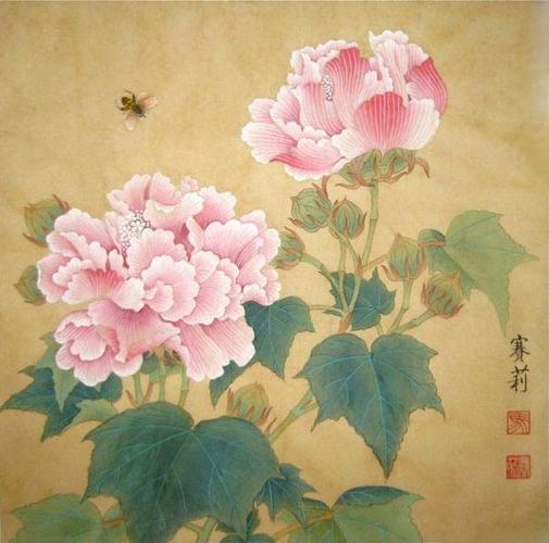 工笔芙蓉花