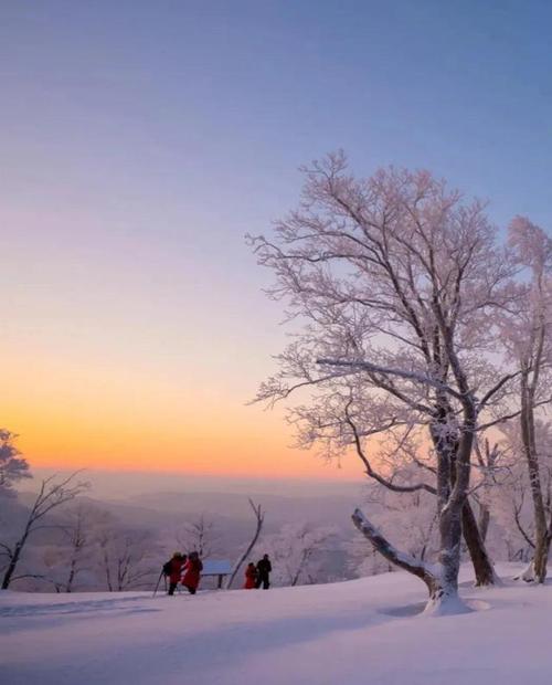 灵感美图大雪来了教你几步拍出有故事感的雪景照片