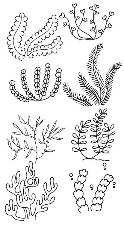 海底植物简笔画