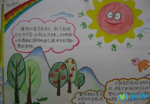 适合幼儿的科普手抄报