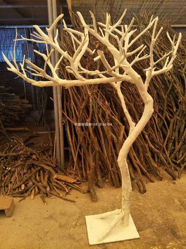 仿真白树架假树真树杆树枝大树婚庆酒店商场植物背景装饰摆放